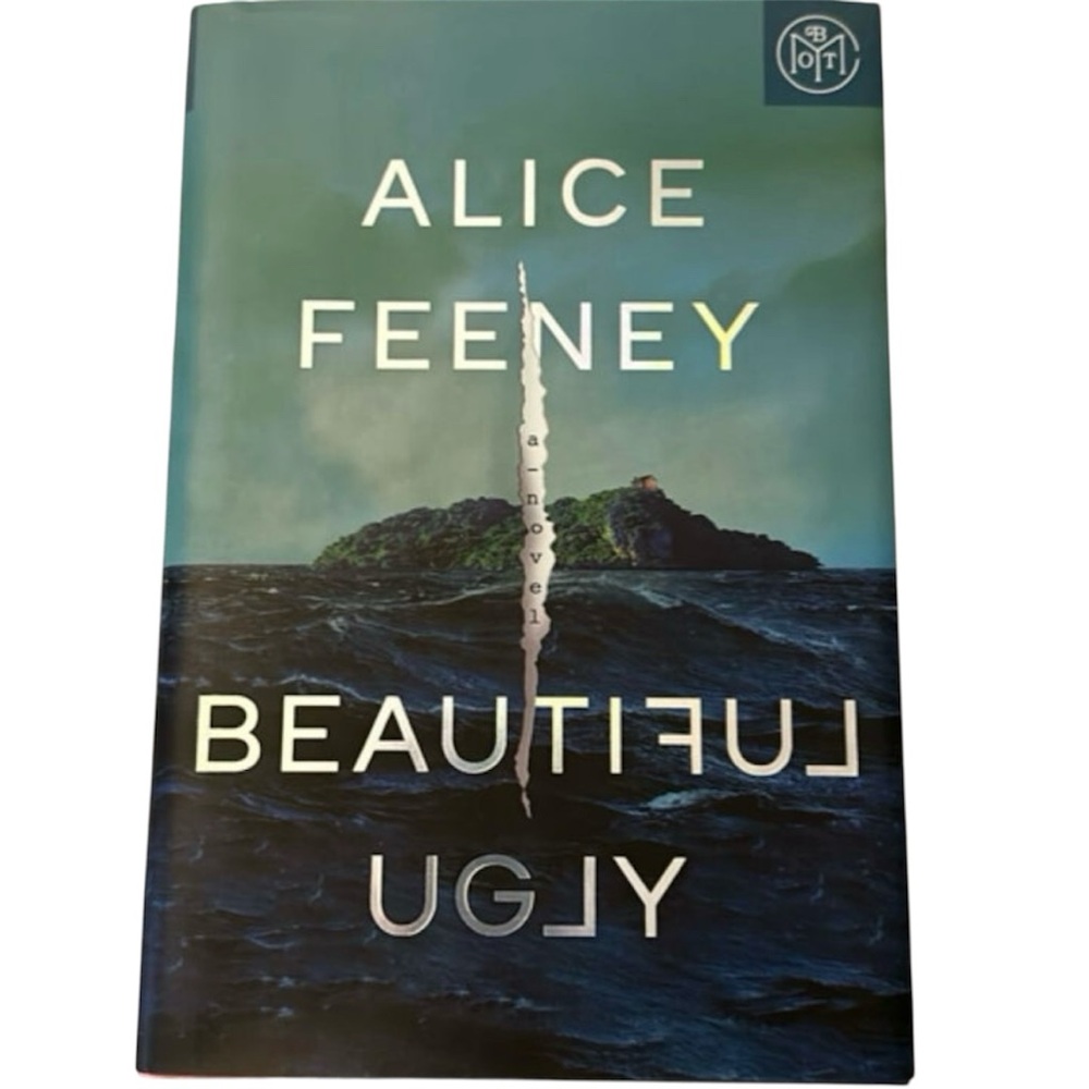 Beautiful Ugly Book Alice Feeney Mystery Thriller